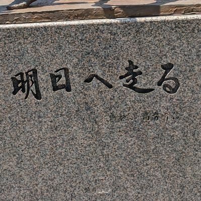 アリストテレス＊(大学長距離)