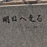 アリストテレス＊(大学長距離)