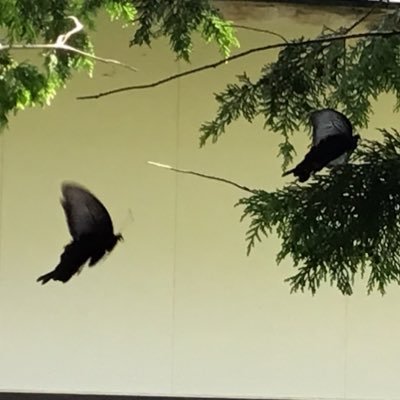高橋 望🌿👩🏻‍🌾