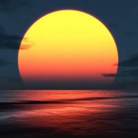 Wilshere Blvd ✝️