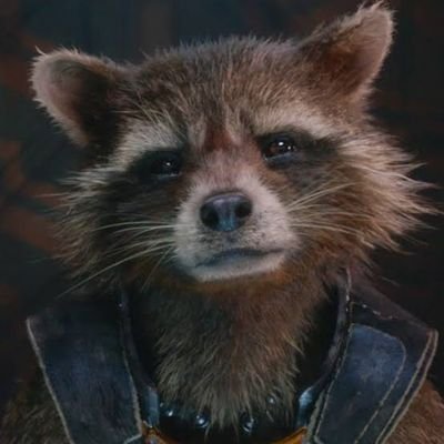 𝓣𝓱𝓮 𝓣𝓻𝓪𝓼𝓱𝔂 𝓸𝓷𝓮 🦝