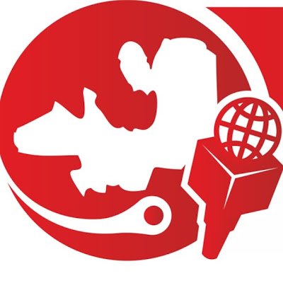 Salta al Día Noticias