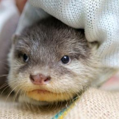 Bea ...🧘‍♀️