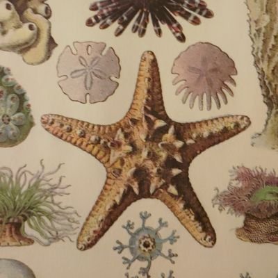 Resilienz 🇪🇺🍊☕