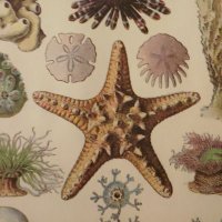 Resilienz 🇪🇺🍊☕