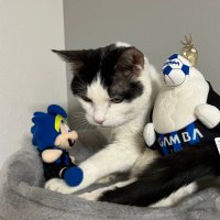 ryuichiฅ^._.^ฅ⊂🍀⊃