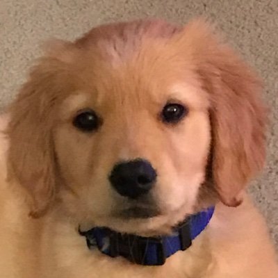 Ess Creek🌻🌻🌈🏳️‍🌈💙