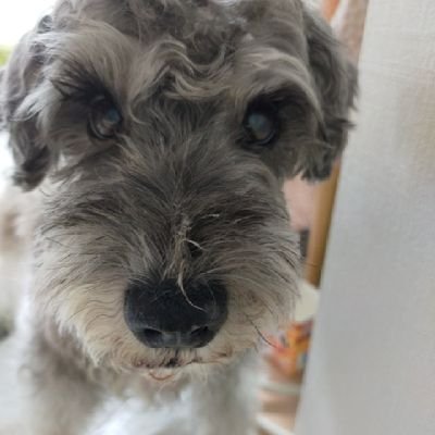 にくまん✩‧*˚⁺✨🌊🦦✨.₊‧˚*