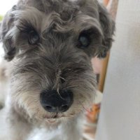 にくまん✩‧*˚⁺✨🌊🦦✨.₊‧˚*