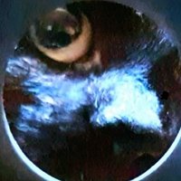 Die Anita trauert 🖤