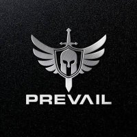 The Nigerian Shield 🛡