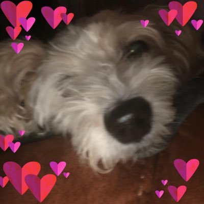 💚 Toni Stokoe 💚