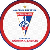 Akademia Górnika
