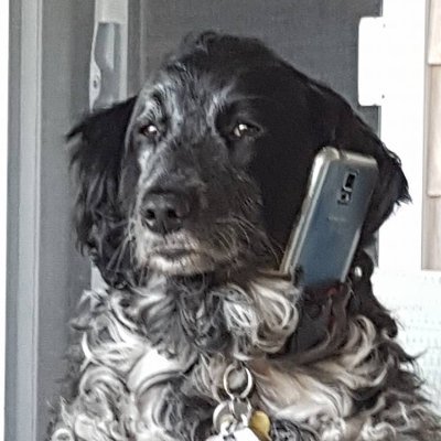 Want my Canada back!