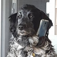 Want my Canada back!