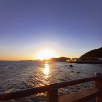 あんみつはこしあん派