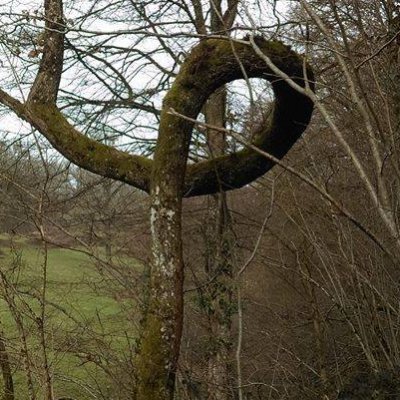 SophieSo φ 🇨🇵 🐢