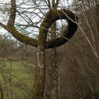 SophieSo φ 🇨🇵 🐢