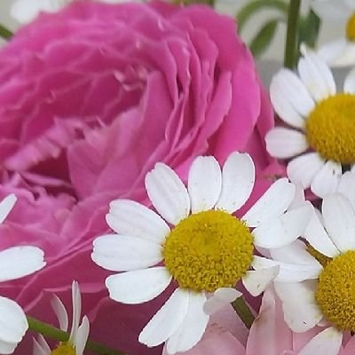 OKX邀请返佣45% 正规渠道