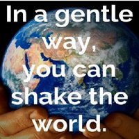 sharky214 sharky-s.bsky.social