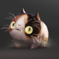 マツモト　キノ