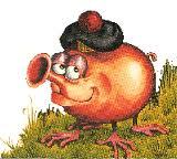 Haggis_UK 🇬🇧 🇪🇺