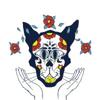 El Gato Cat Cafe & Charities