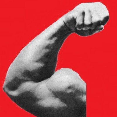 Chicago Adonis Bodybuilding, Sports and Fitness