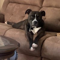 Precision Justin’s Sports & More