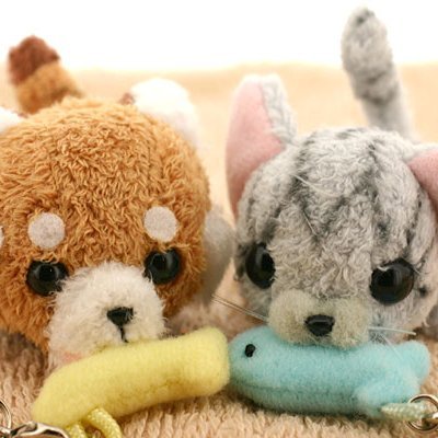 しょう、自然豊かな場所へ