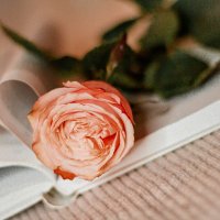 Teresa Jiménez Sojo