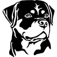 Theodor Rottweiler🎺🇦🇷