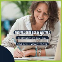 PROFESSIONAL ESSAY WRITERS