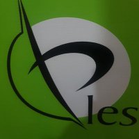 PLES IT SERVICES
