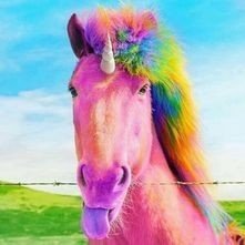 Instytut Stworków, Potworków i Przytulasków