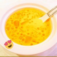 🌏️elikotta ｴﾘｺｯﾀ・ｴﾘ太郎🍢@ PugetSound🌊🌲🚢🍀🕊️