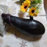 元禄生まれの亡霊