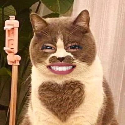 namwan(น้ำว่าน)