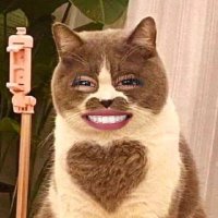 namwan(น้ำว่าน)