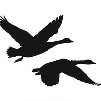 Dick_B 🌻🌽🌾🍍🥔