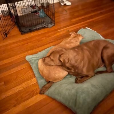 Jeff Gibbens “Lumpy”