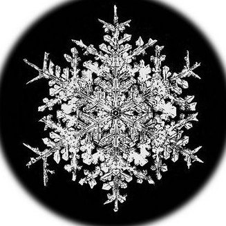 GardenRebellion 🎗️