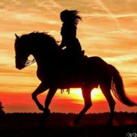 Raquel Santhyago🐎👄