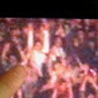 darrellmay（ダレルメイ）