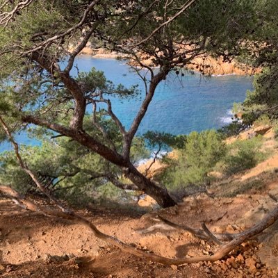 Lotthe Xavier Abithea Martigues Côte Bleue