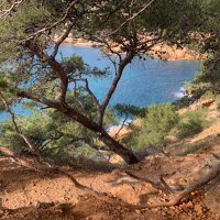 Lotthe Xavier Abithea Martigues Côte Bleue