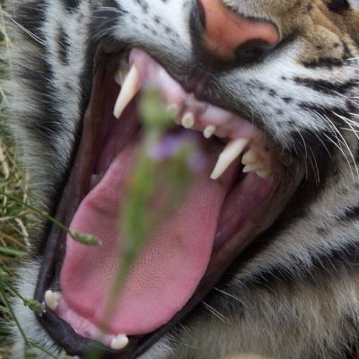 𝕟𝕠𝕥 𝕏🗿七七 #Proprioception #COYS AZ/Nvax/Pfizer