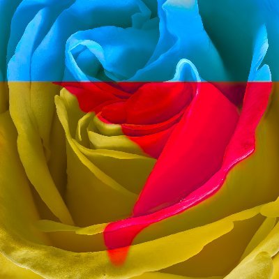 Tim van der Leeuw 🇺🇦