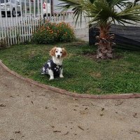 🐶🐹🐼❤TODOS !!!