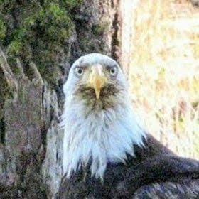 Climate Watcher 🔥🇨🇦🇬🇧 🇯🇲🌺